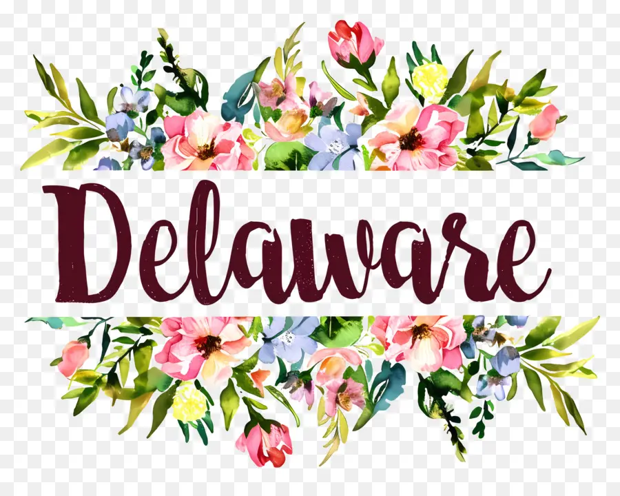 Delaware，Estado PNG