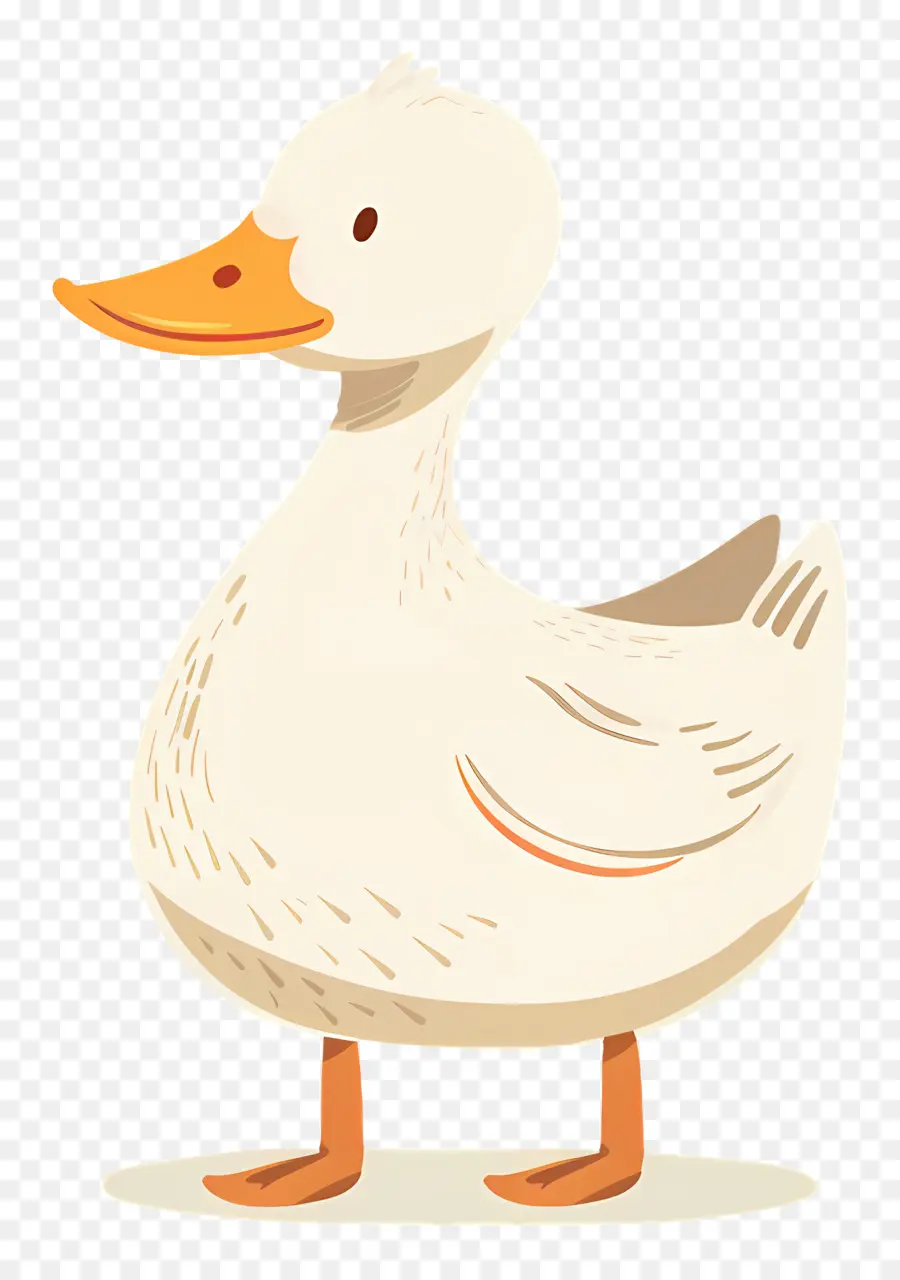 Dibujos Animados De Pato，Fondo Blanco PNG