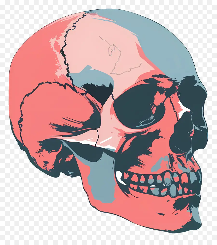 Cráneo，Calavera Colorida PNG