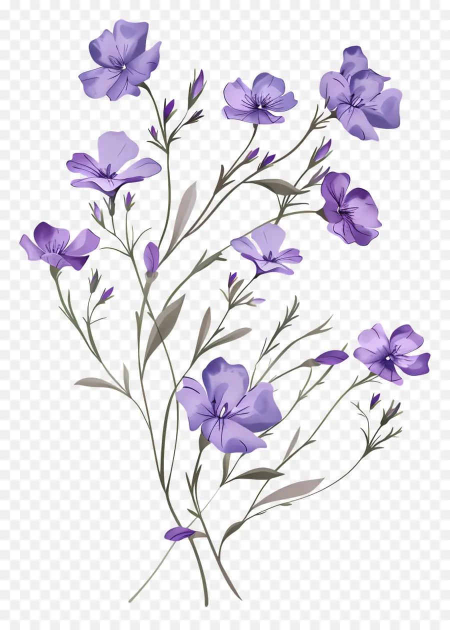 Flores De Color Púrpura，Ramo PNG