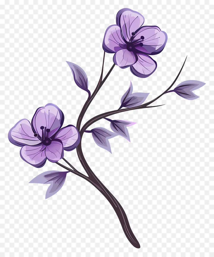 Flores De Color Púrpura，Flor Morada PNG