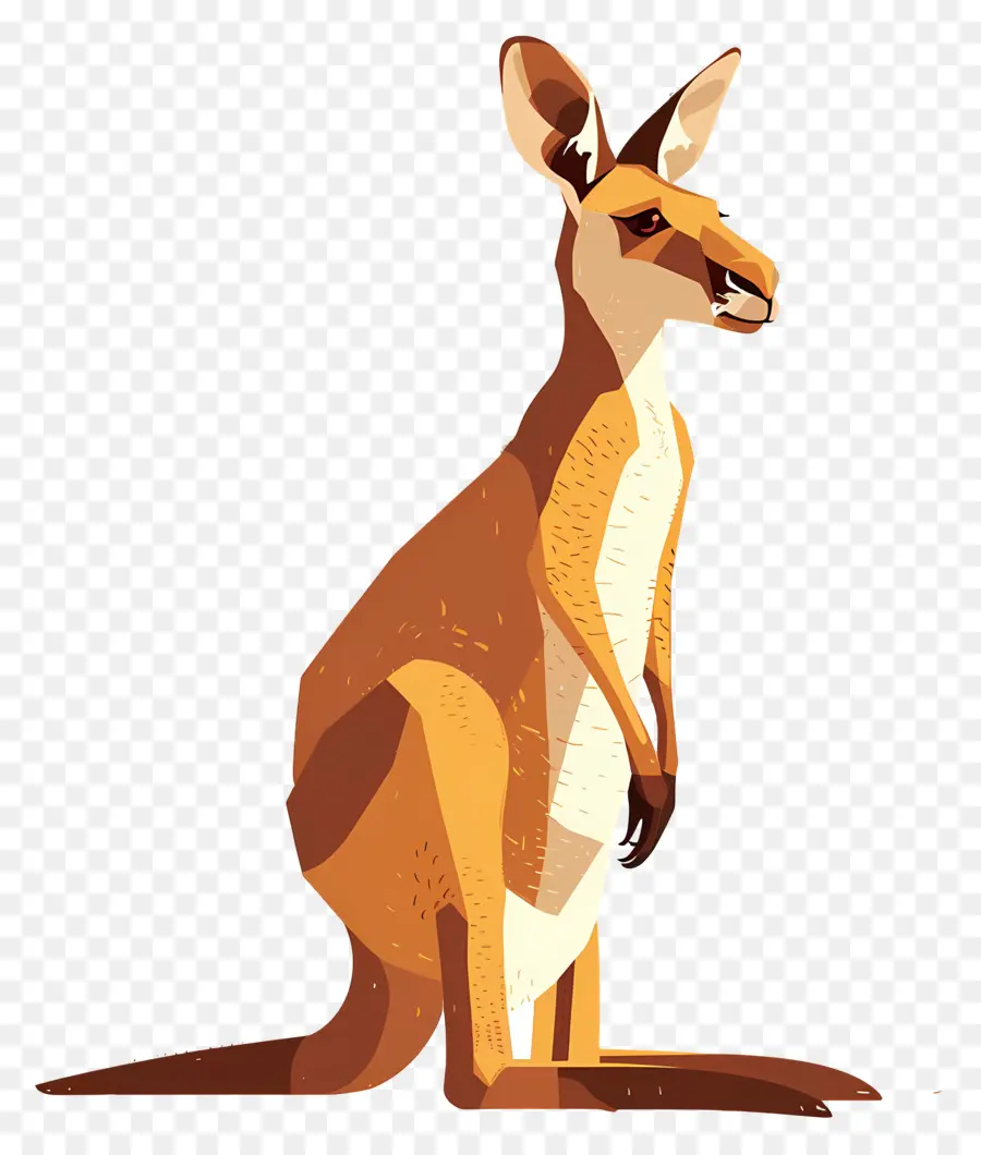 Canguro，Marsupial PNG