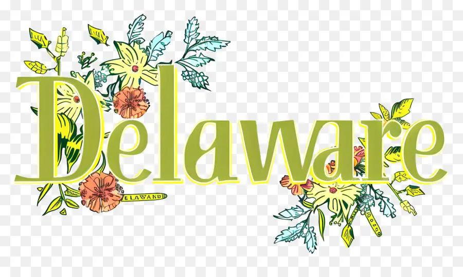 Delaware，Diseño Floral PNG