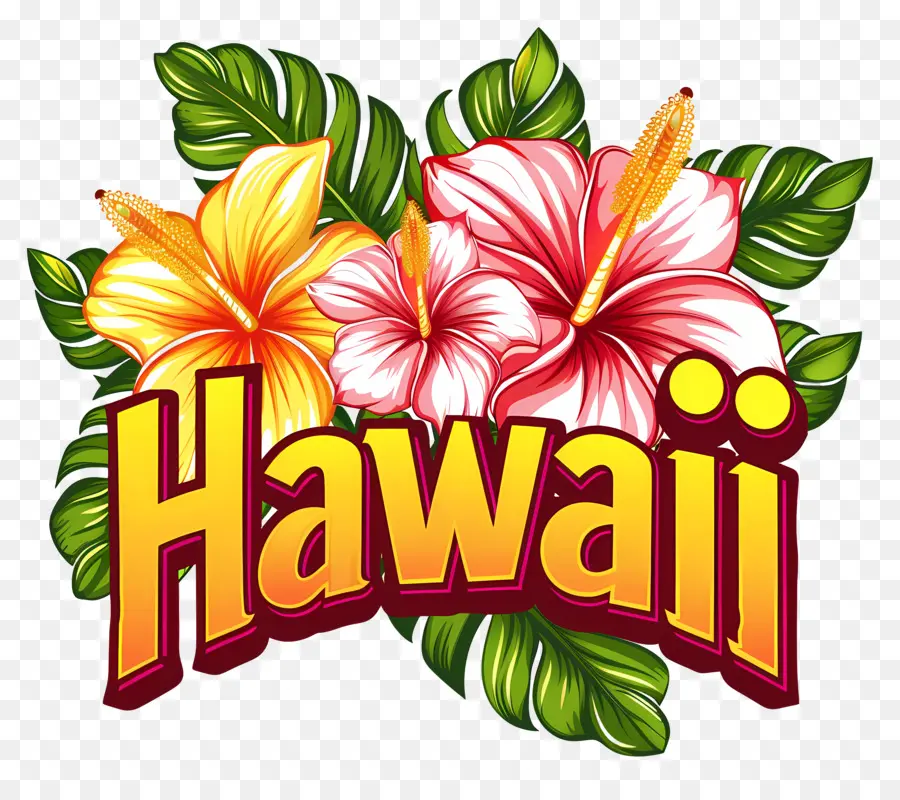 Hawai，Hula Girl PNG