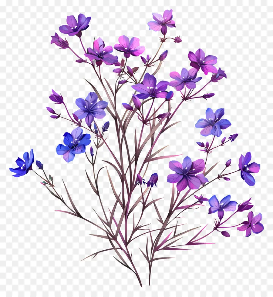 Flores De Color Púrpura，Flores Azul Oscuro PNG