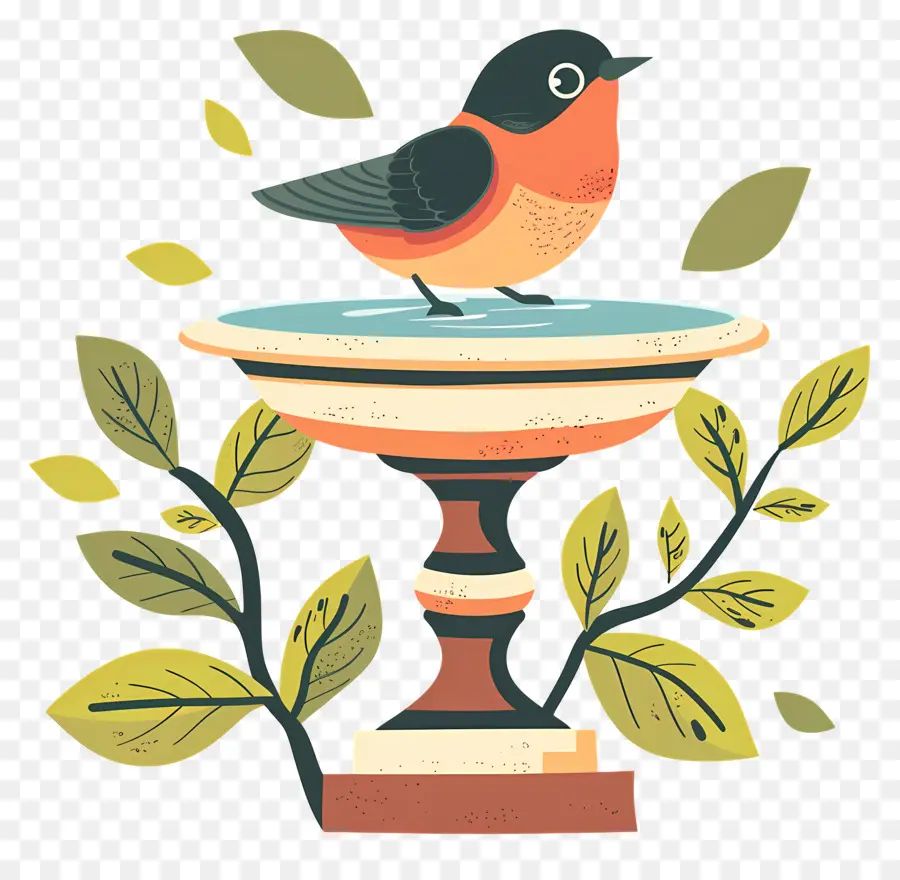 Bird Bath，Aves PNG