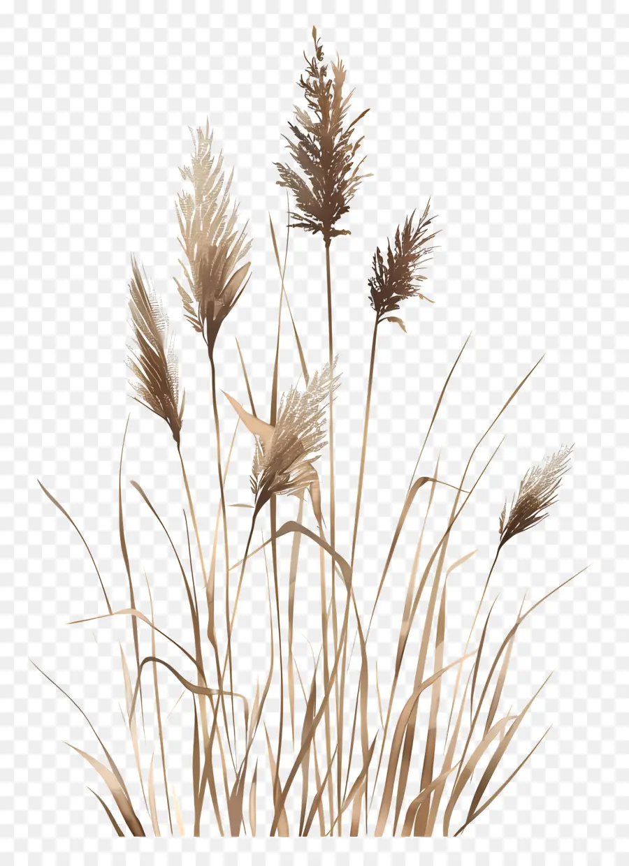 Reed，La Pintura De Paisaje PNG