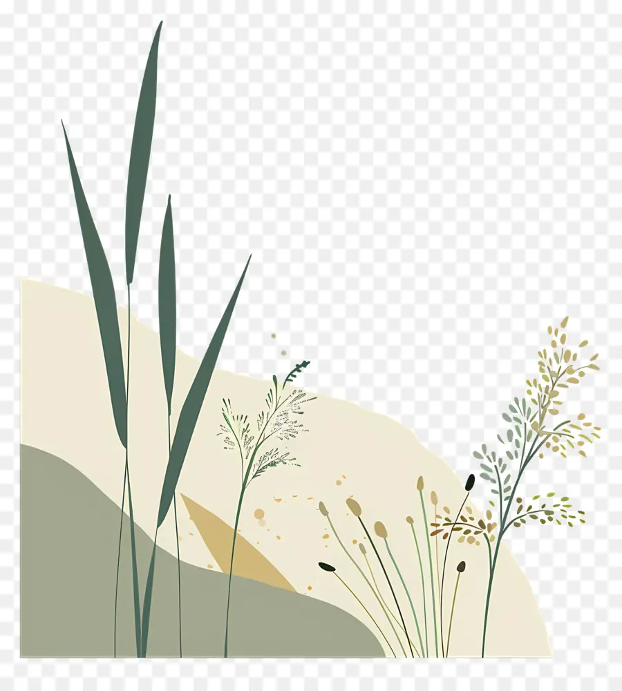 Las Plantas De Arroz，Paisaje PNG