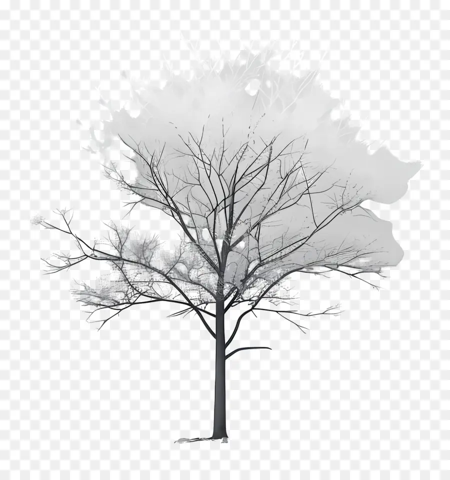 Invierno De Escarcha，Desnudo árbol PNG