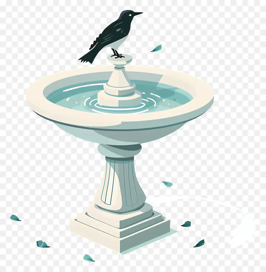 Bird Bath，Aves PNG