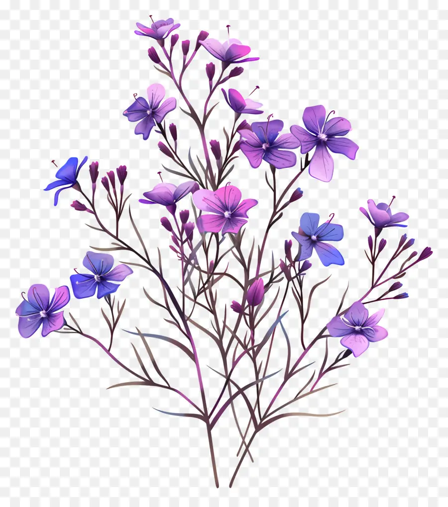 Flores De Color Púrpura，Dibujo A Lápiz PNG
