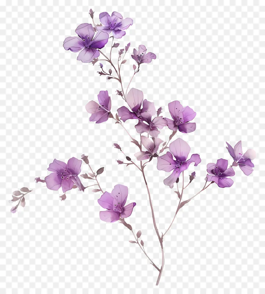 Flores De Color Púrpura，Rama PNG
