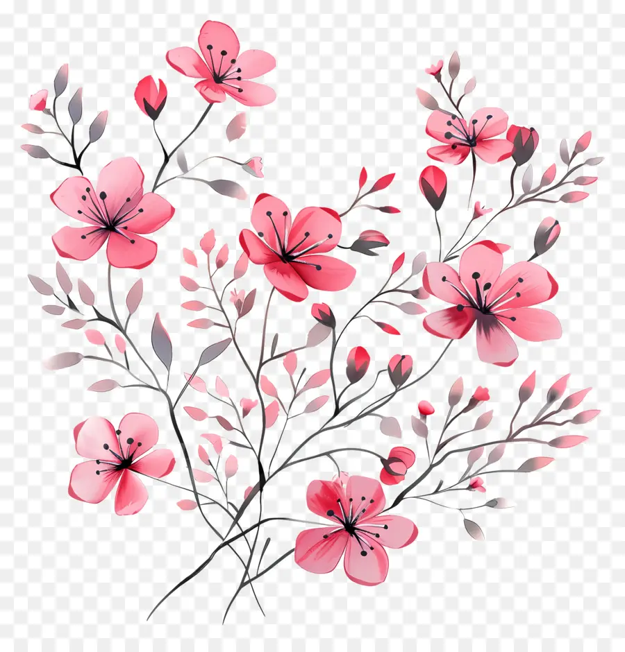 Flores De Color Rosa，Ramo PNG