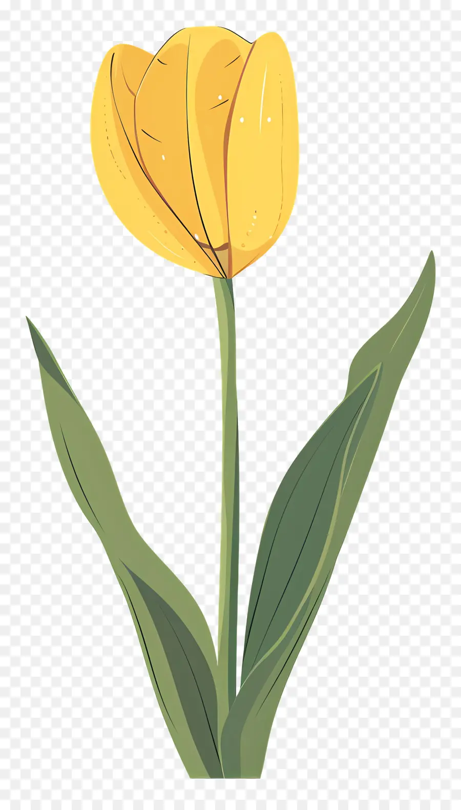 Tulipán Amarillo，Tulip PNG