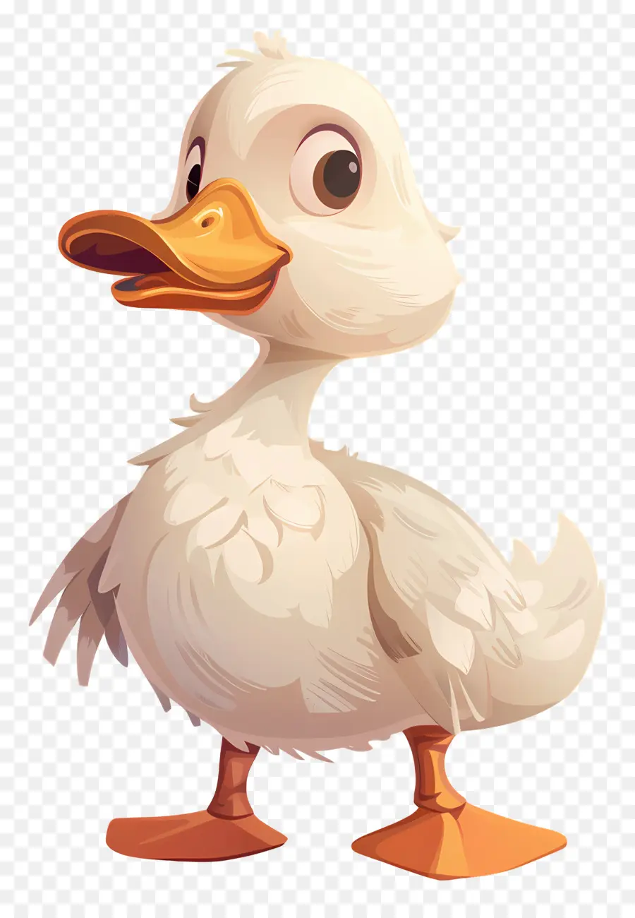 Dibujos Animados De Pato，Pato Blanco PNG