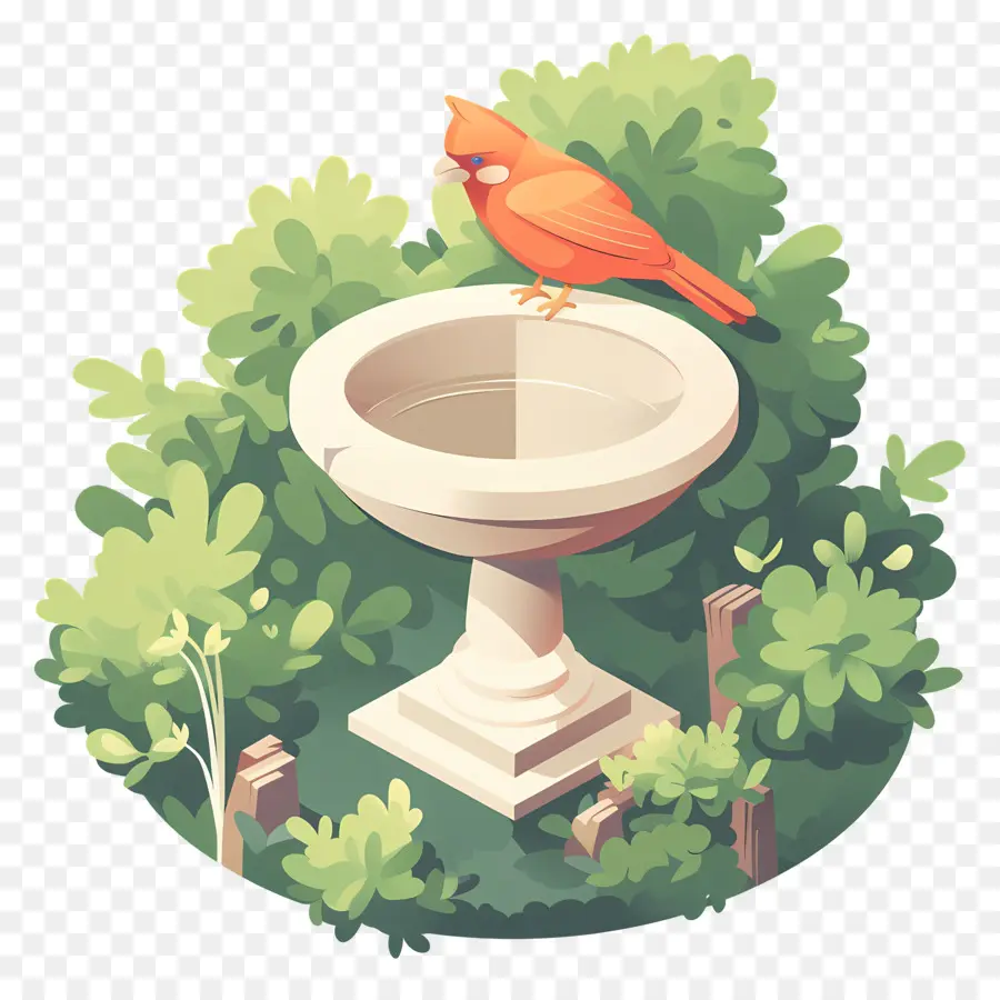 Bird Bath，Aves PNG