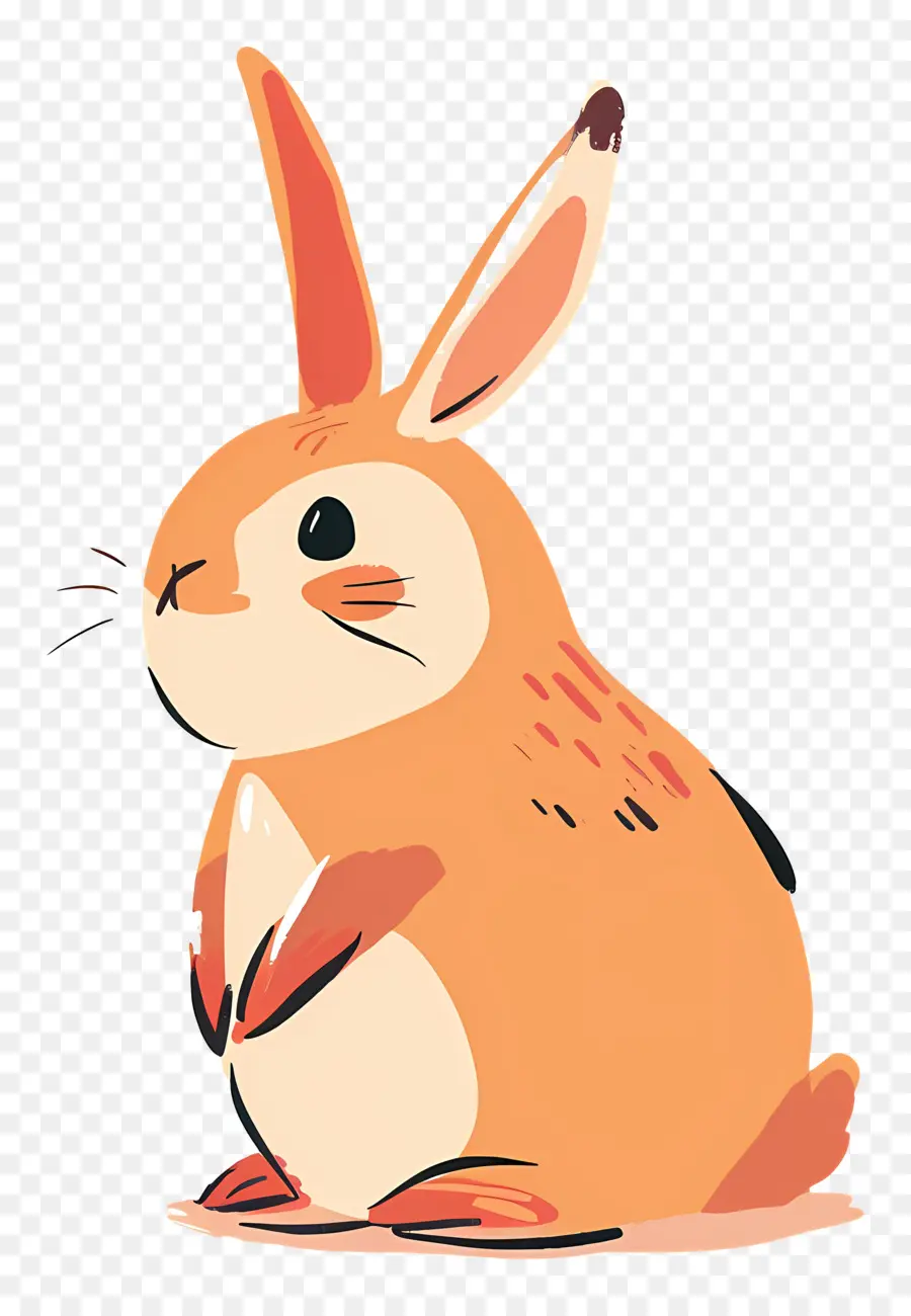 Conejito，Conejo PNG