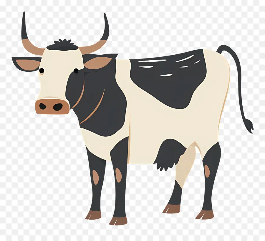 Vaca，En Blanco Y Negro PNG