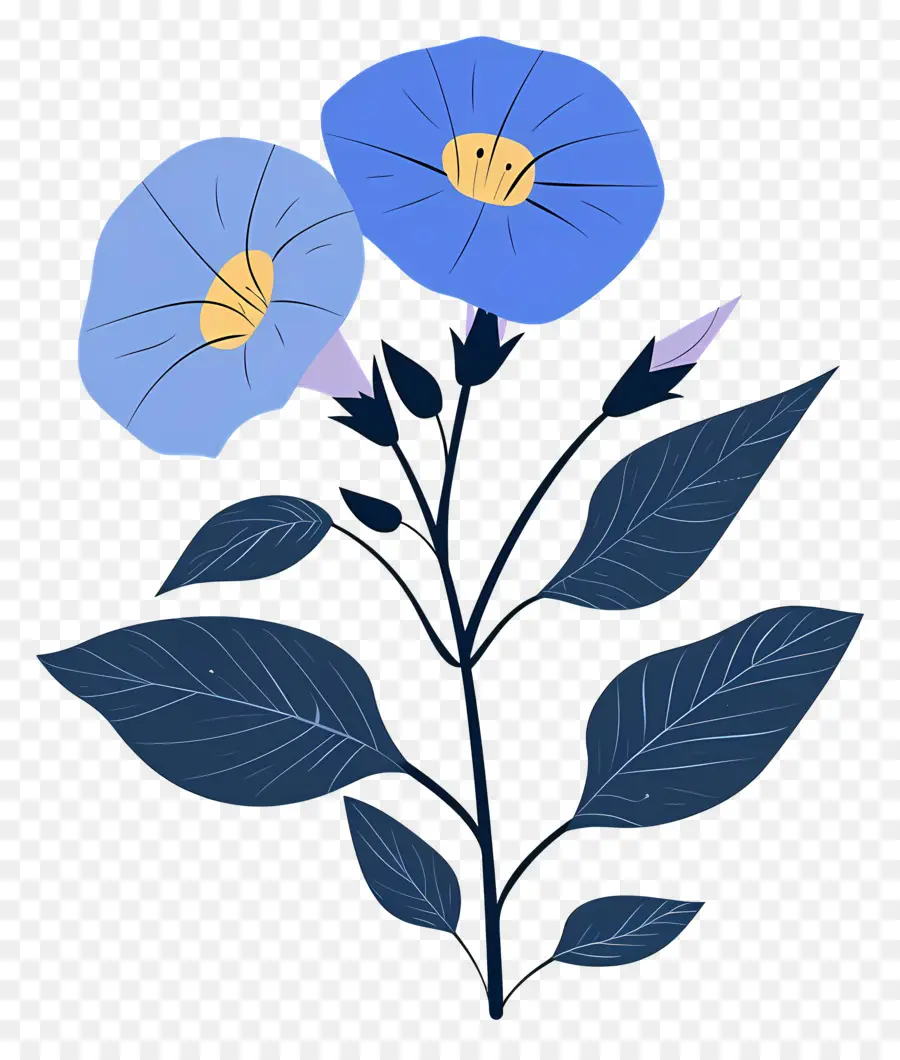 Gloria De La Mañana，Flores De Color Azul PNG