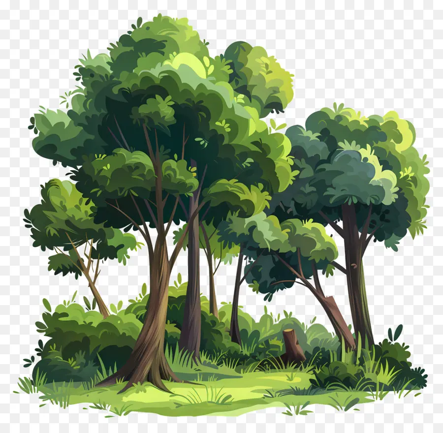 Bosque Denso，Bosque PNG