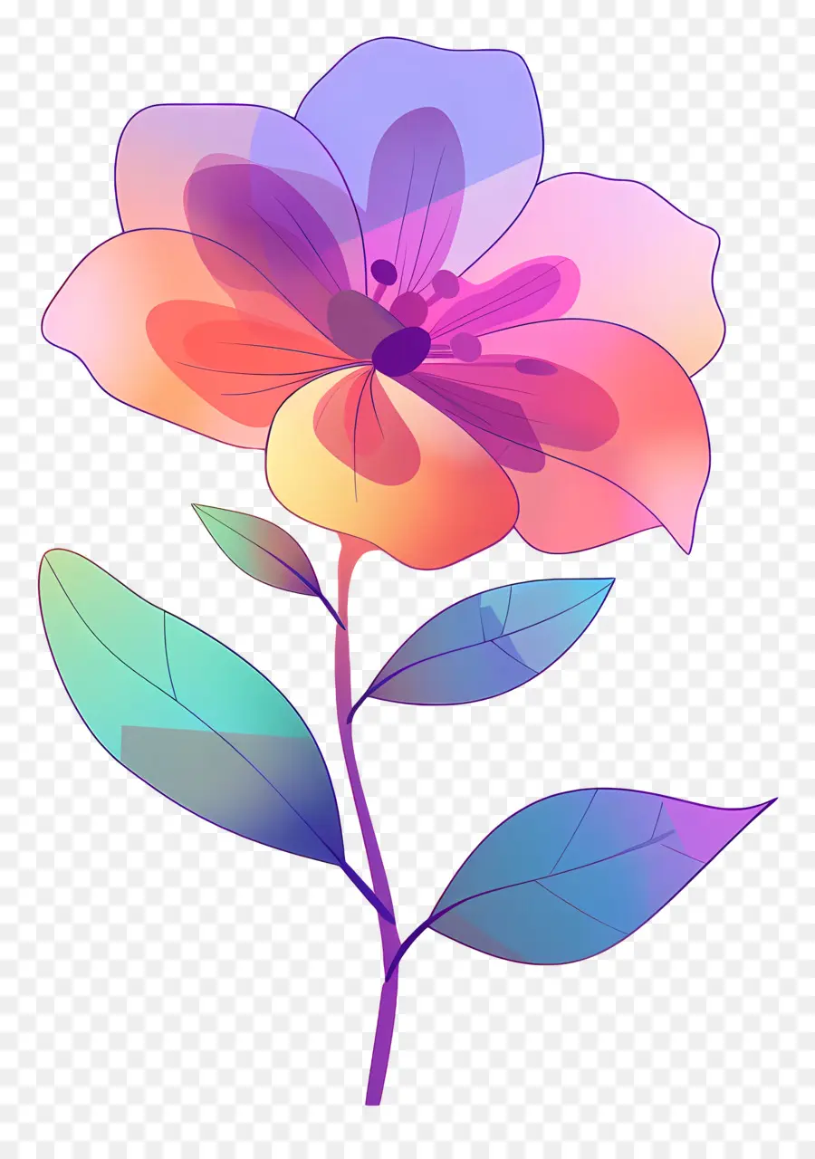 Flor，De Color Rosa Y Púrpura De La Flor PNG