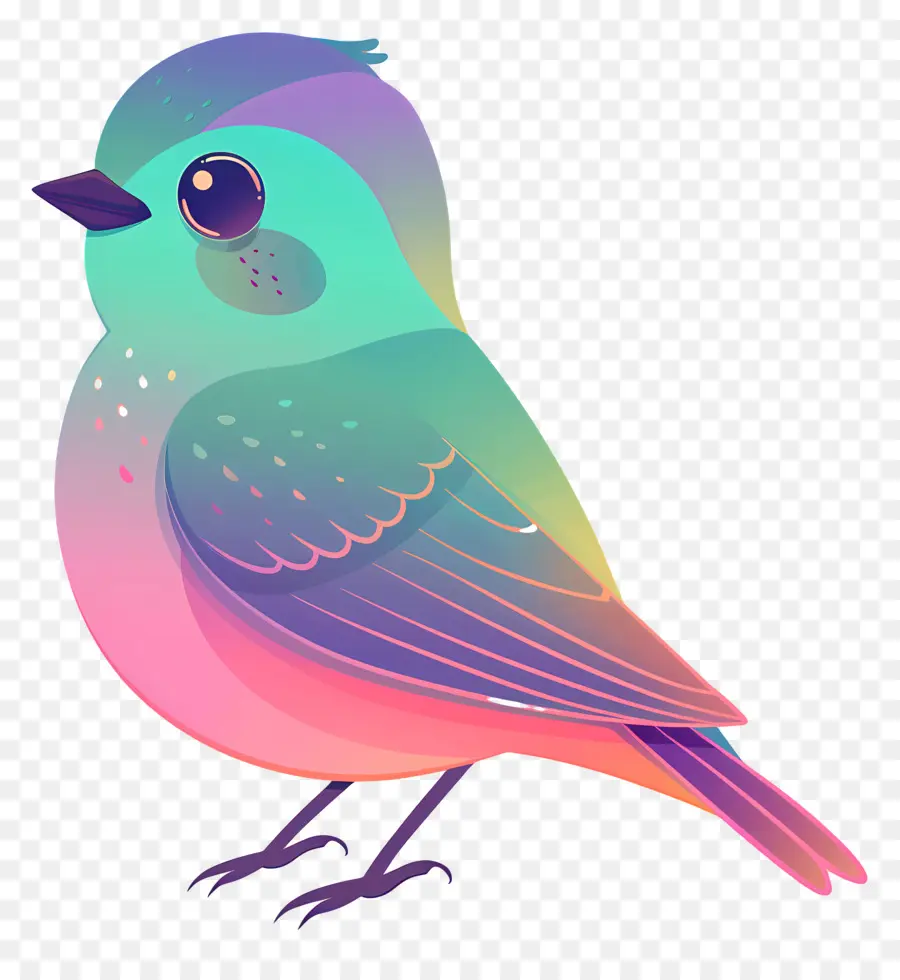 Aves，Colorido PNG