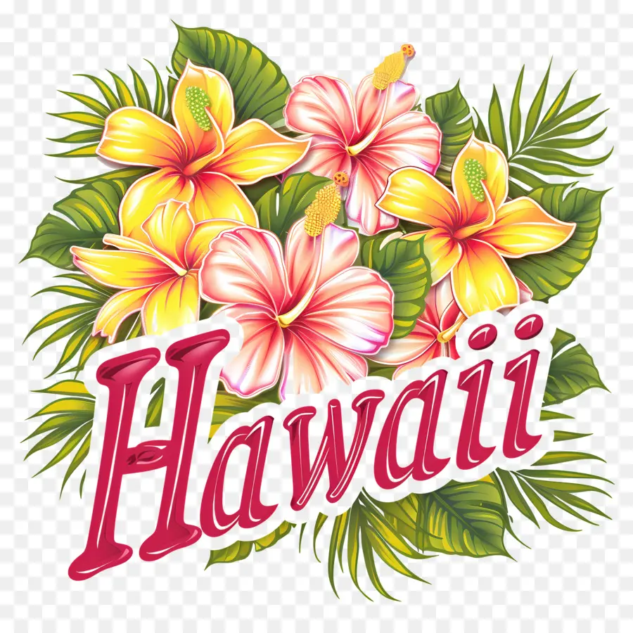 Hawai，Hibiscus Hawaiian PNG
