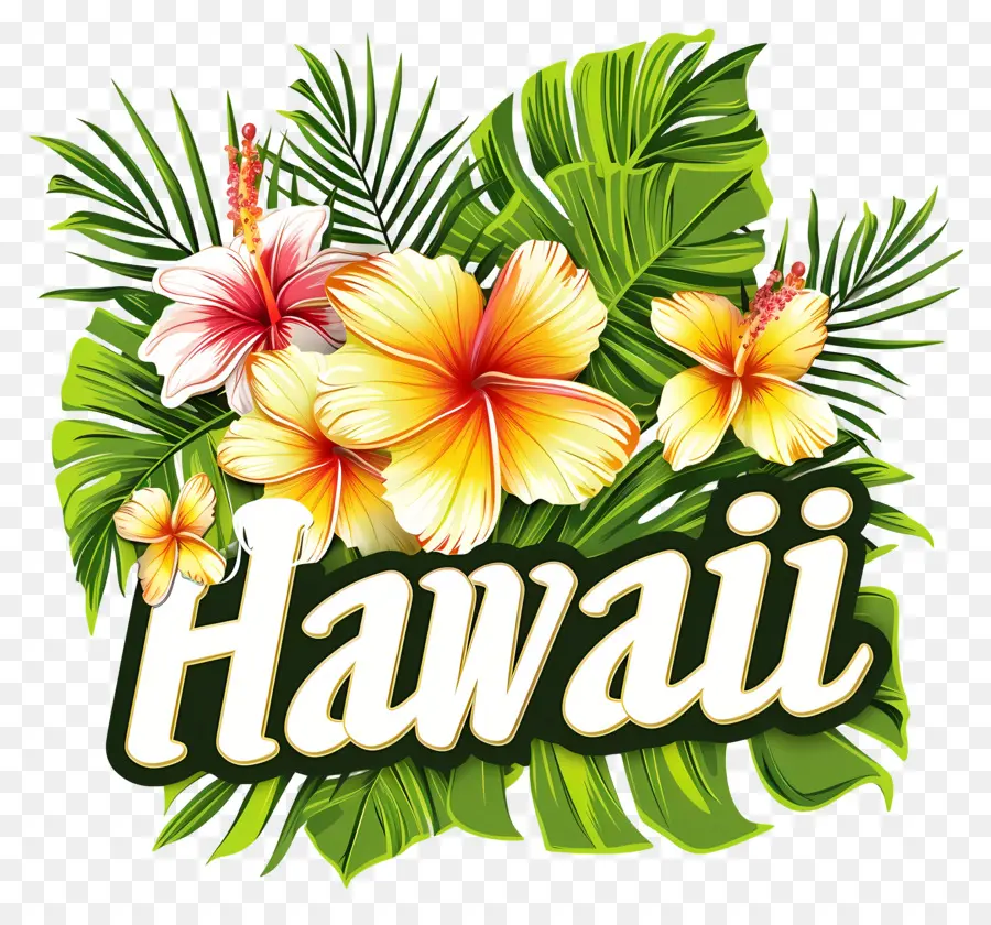 Hawai，Diseño Hawaiano PNG