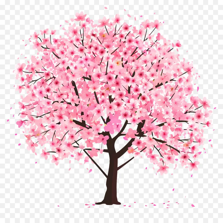 Árbol De Flor De Cerezo，Rosa PNG