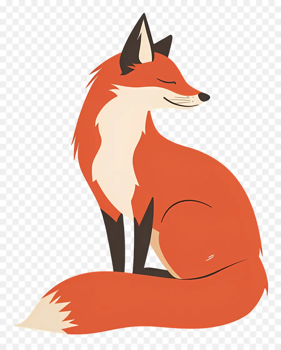 Fox，Zorro Rojo PNG