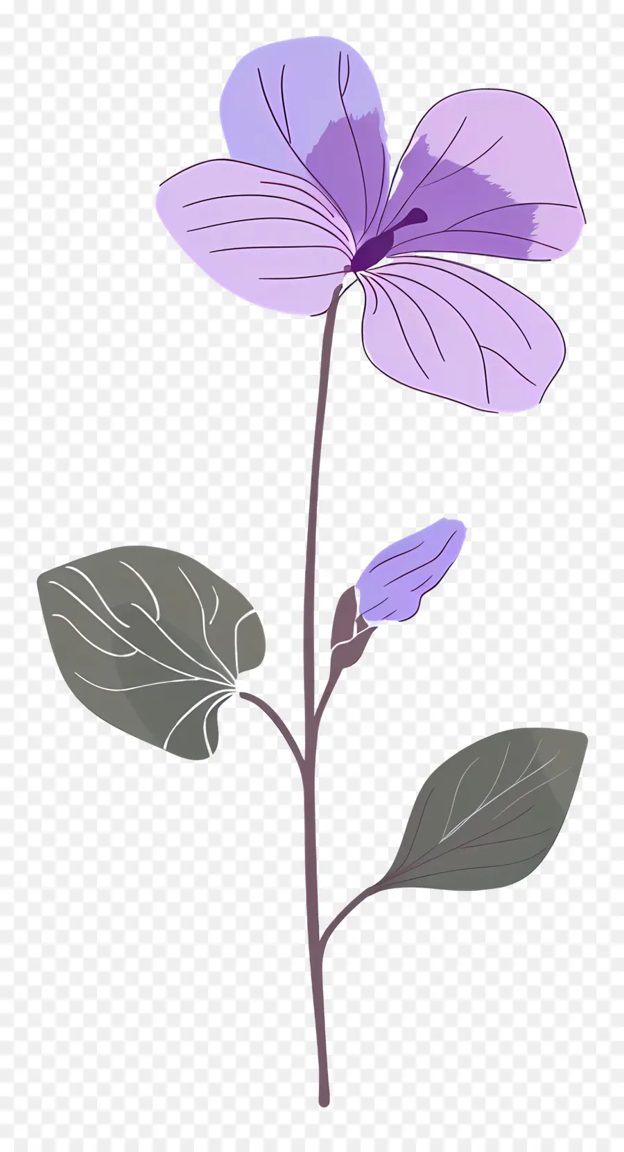 Flor De Violeta，Flor Rosa PNG