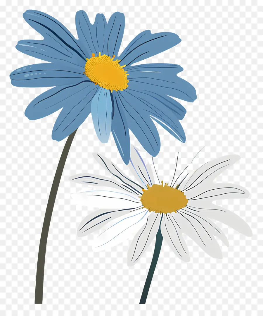 Flor De La Margarita，Daisy Flores PNG