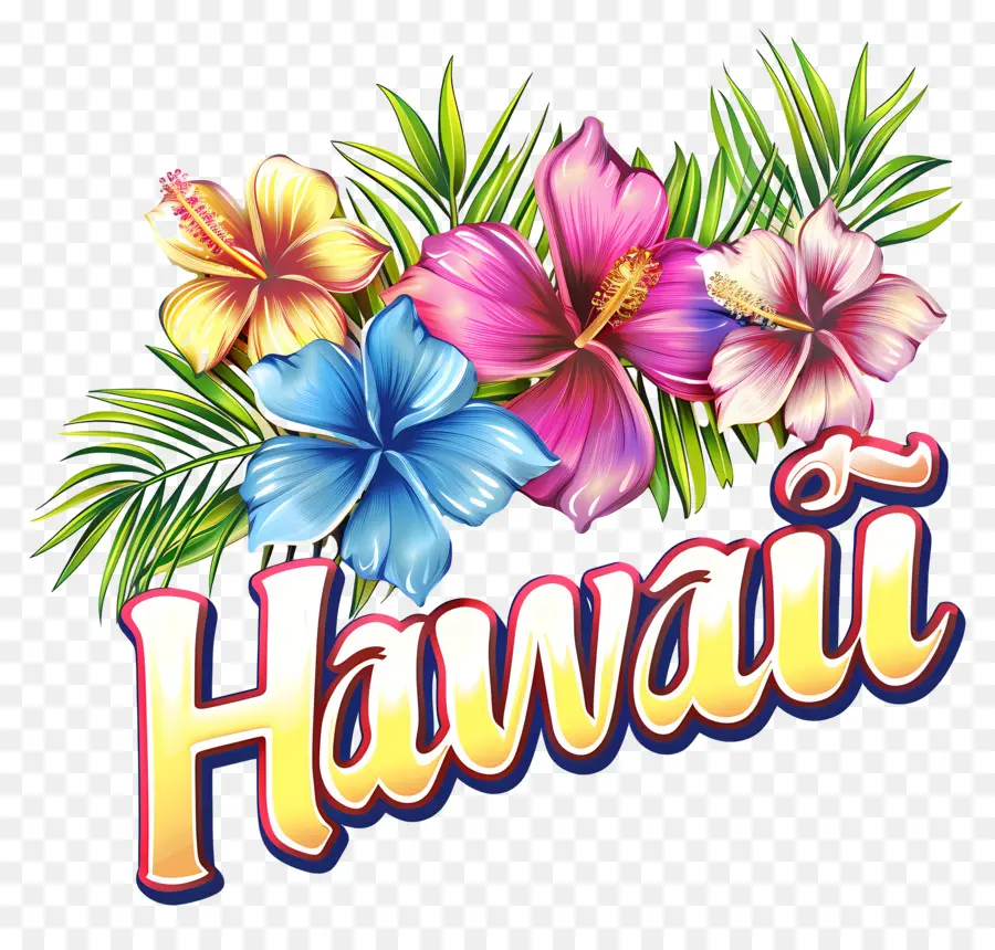 Hawai，Estilo Hawaiano PNG