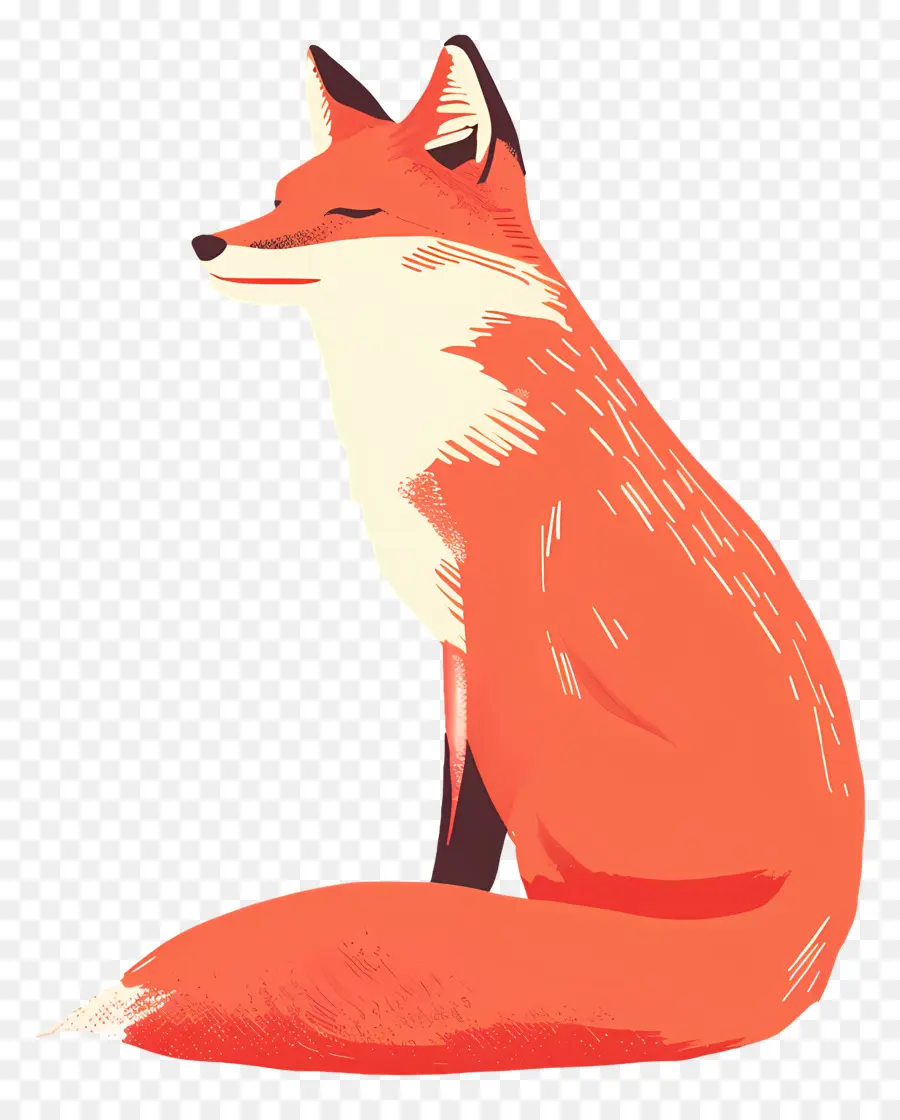 Fox，Zorro Rojo PNG