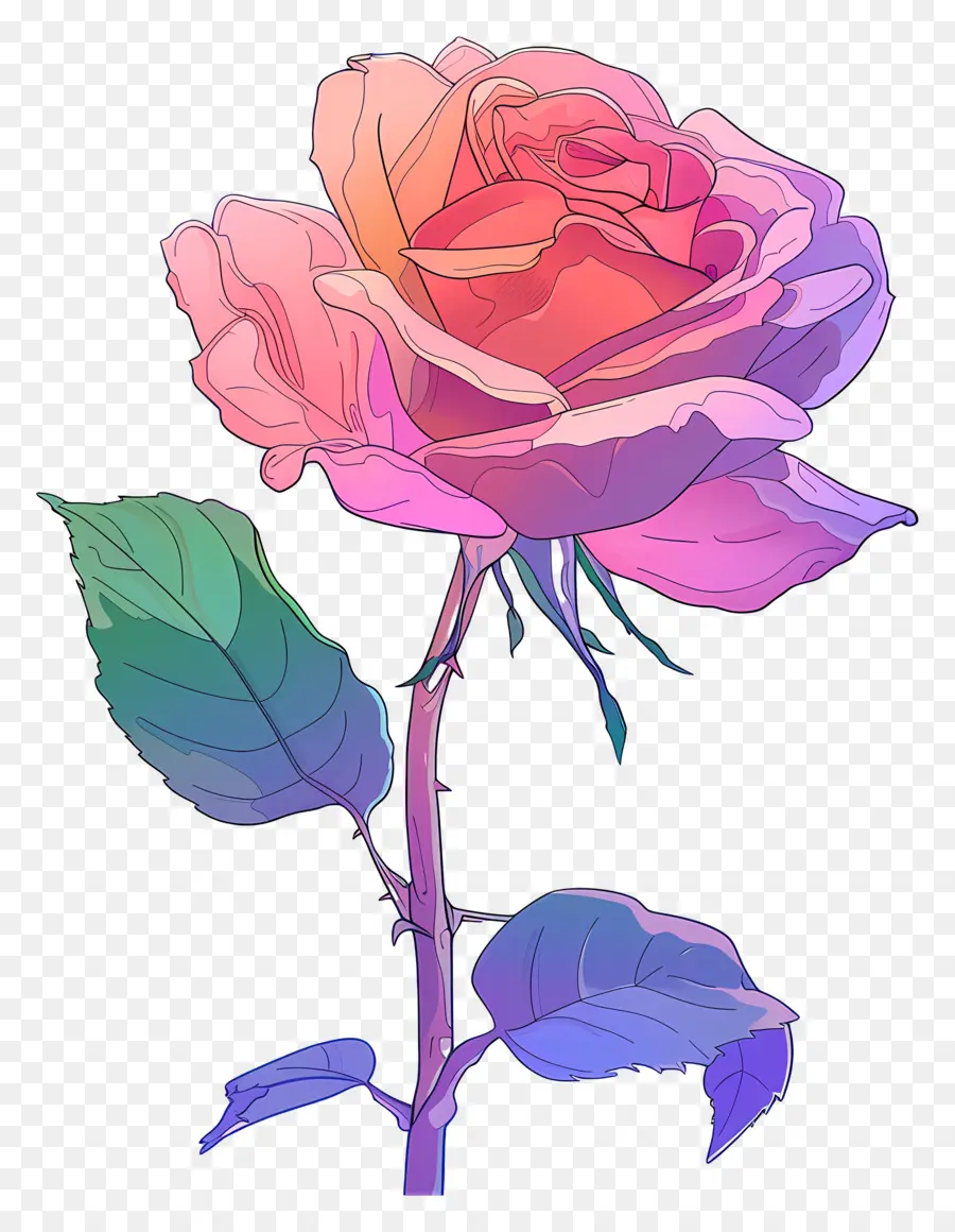 Rosa，Rosa Rosa PNG