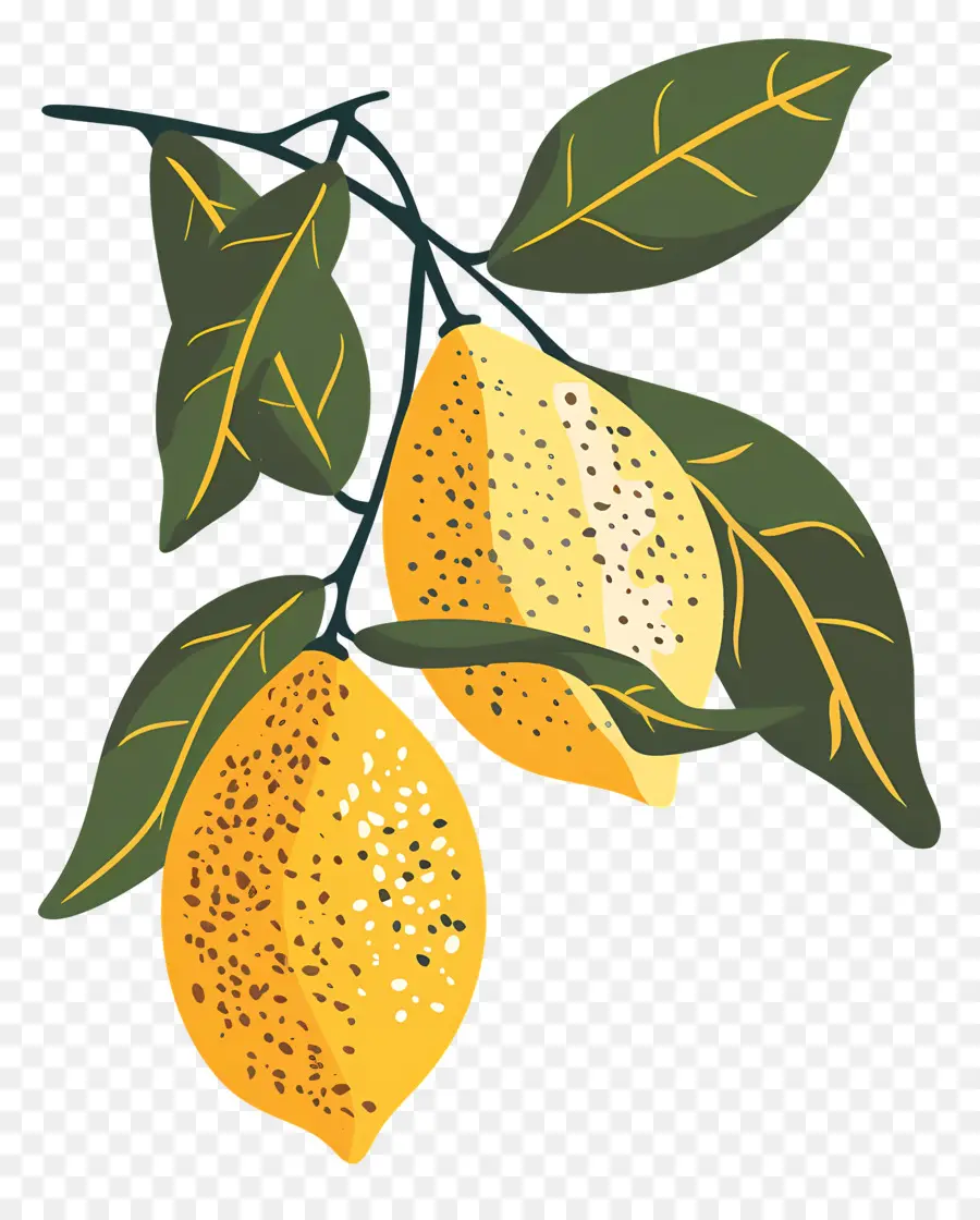 Los Limones，Limón PNG
