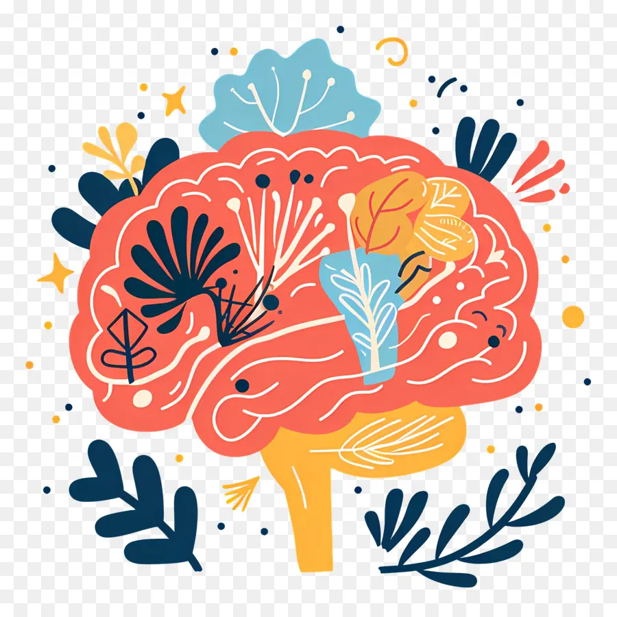 Cerebro，La Salud Del Cerebro PNG