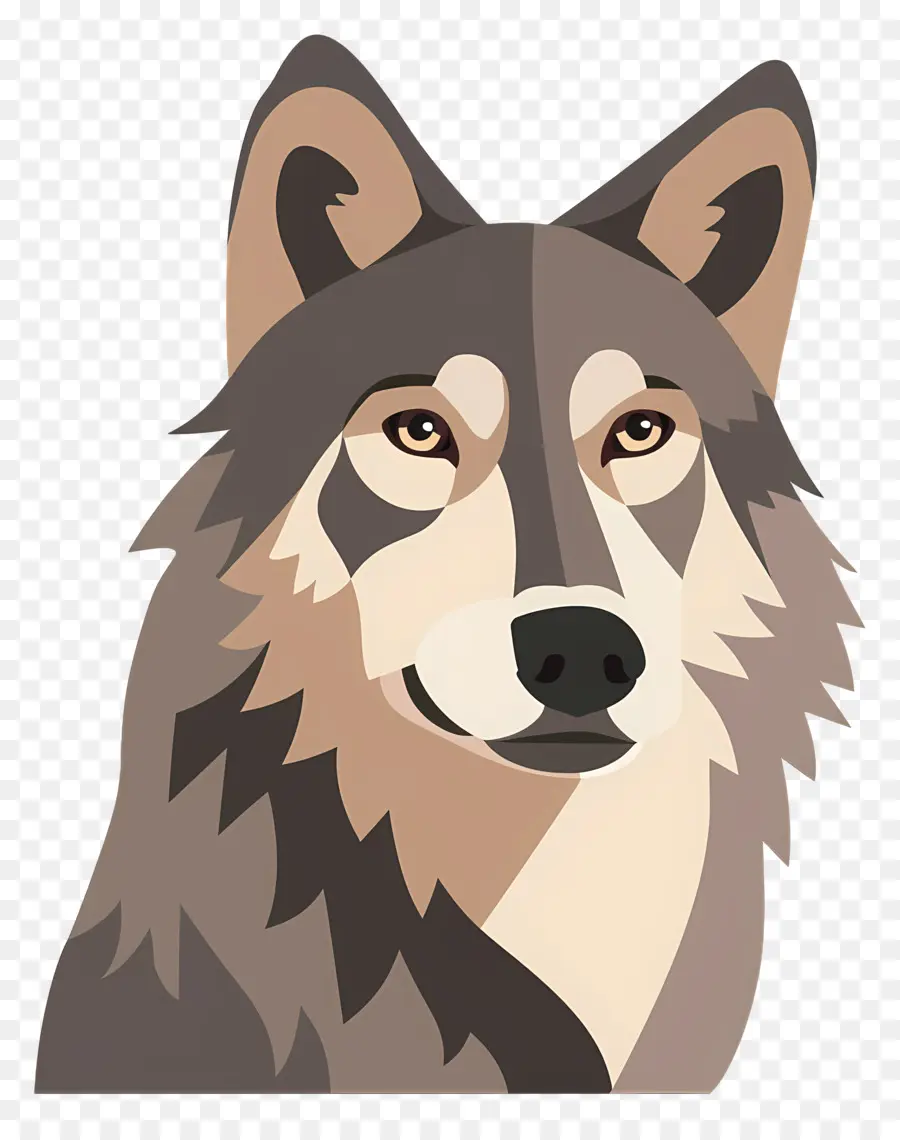 Lobo，La Vida Silvestre PNG