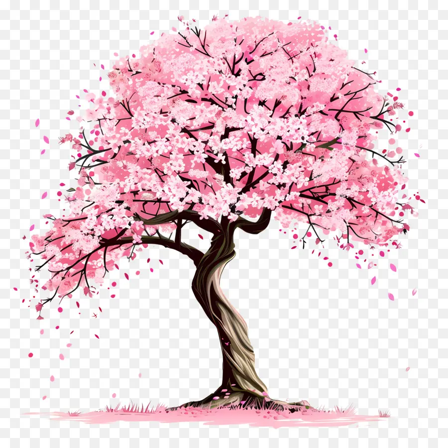 Árbol De Cerezo En Flor，árbol Rosa PNG