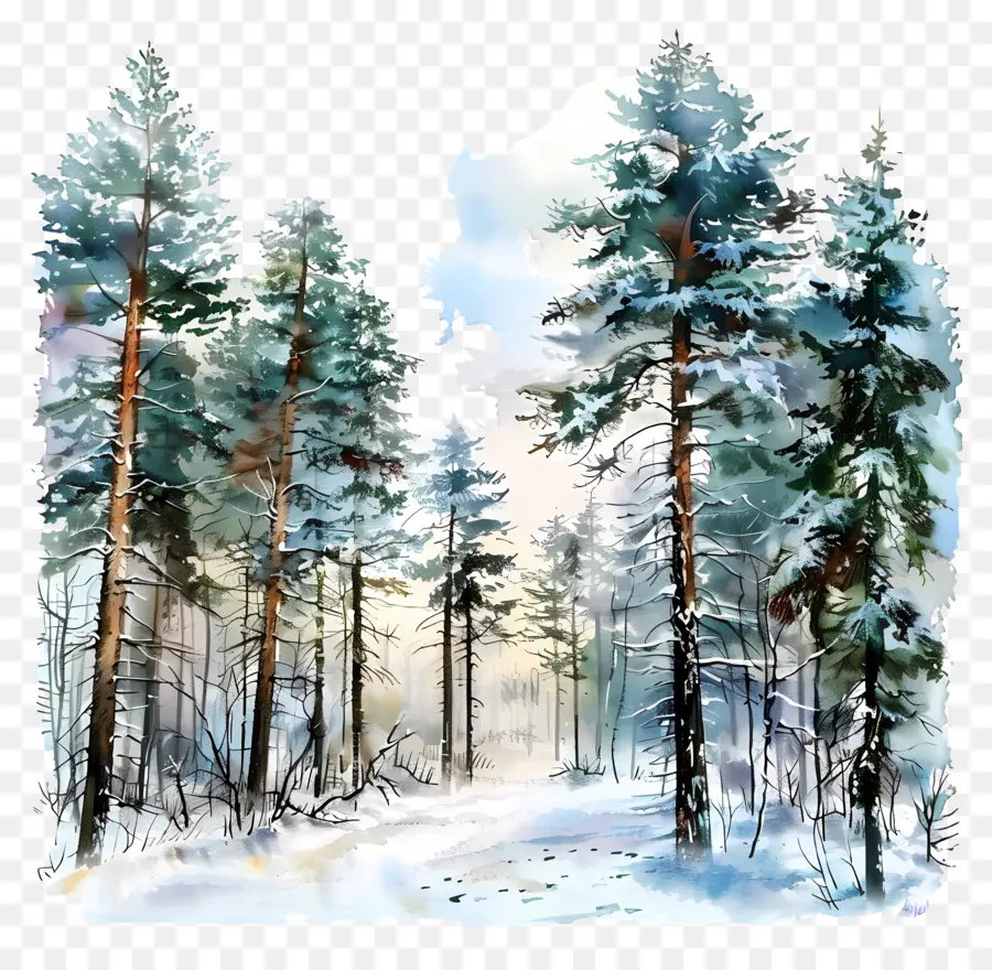 Bosque De Invierno，Pintura A La Acuarela PNG