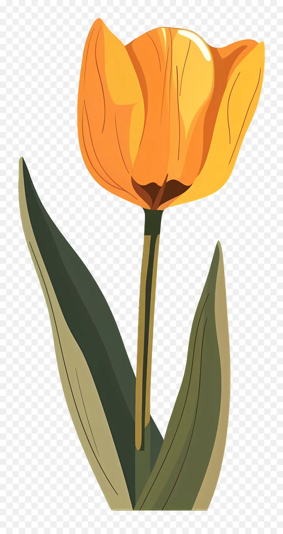 Tulipán Amarillo，Tulipan Naranja PNG