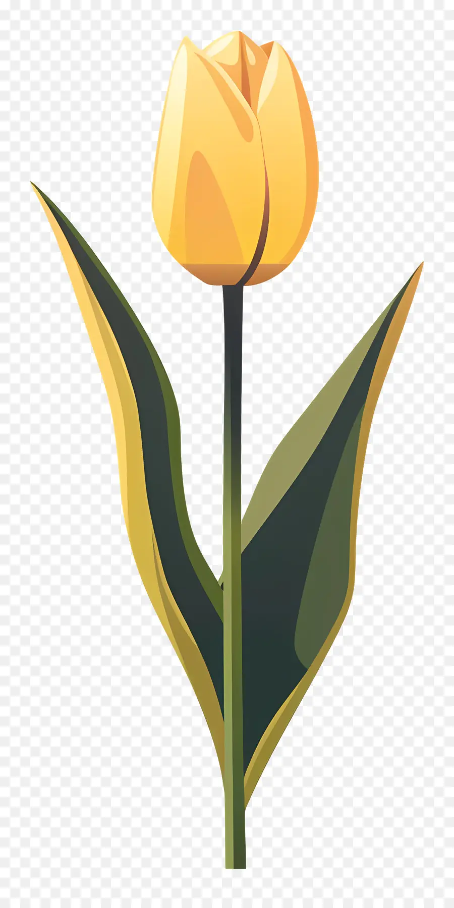 Tulipán Amarillo，Tulip Planta PNG