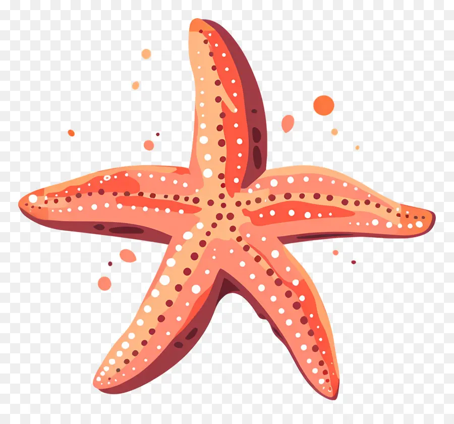 Estrella De Mar，Estrella De Mar Roja PNG