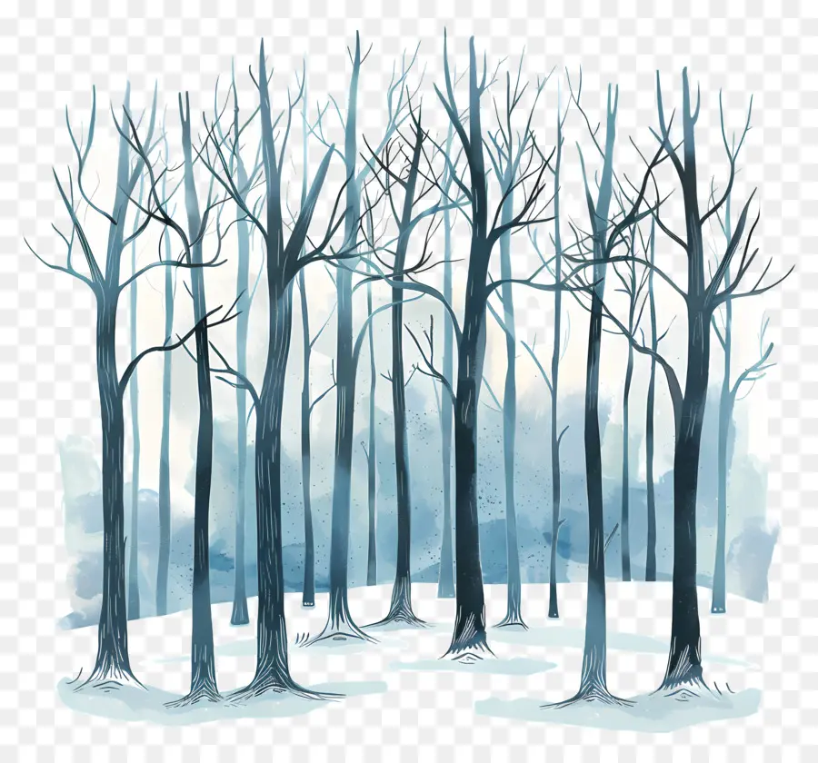 Bosque De Invierno，árboles Desnudos PNG