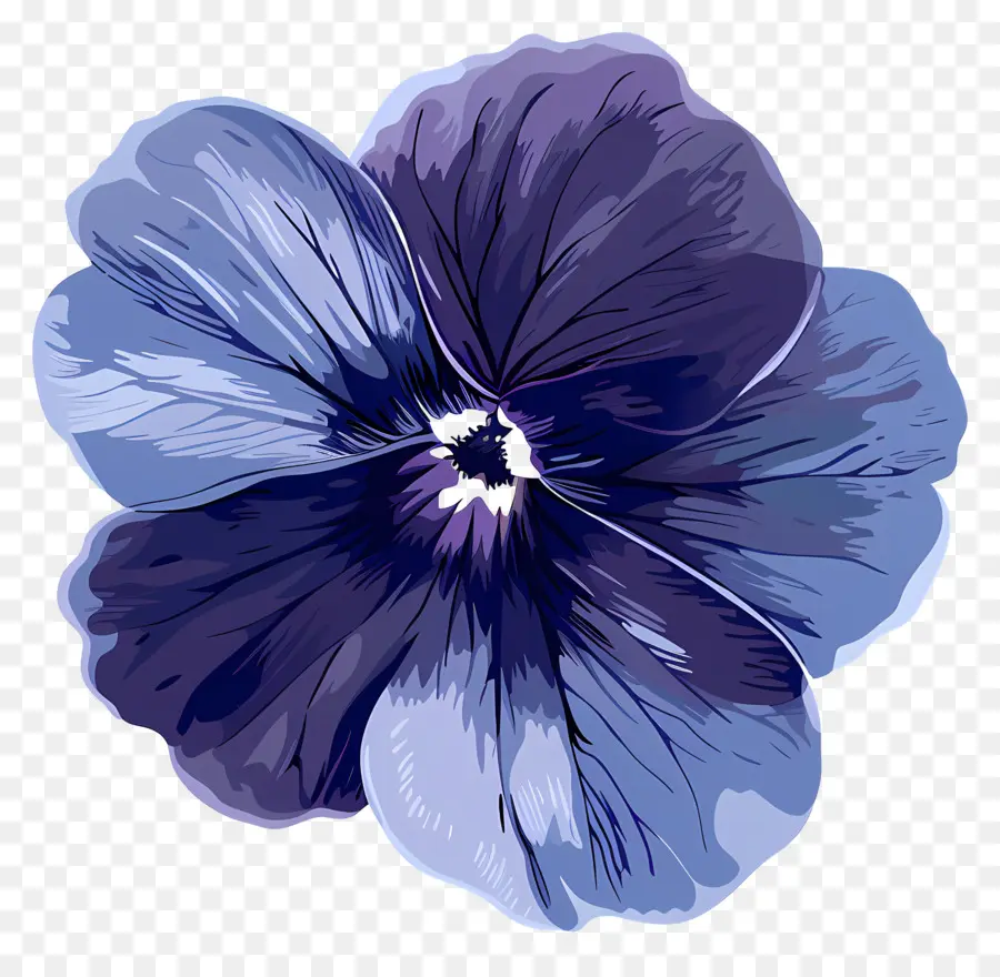 Flor De Violeta，Flor Azul PNG