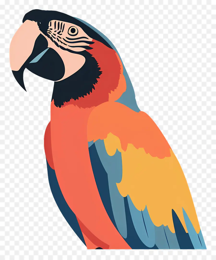 Guacamayo，Aves PNG