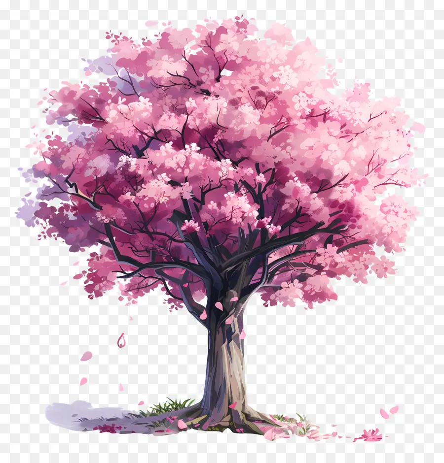 Flor De Cerezo，Rosa árbol PNG