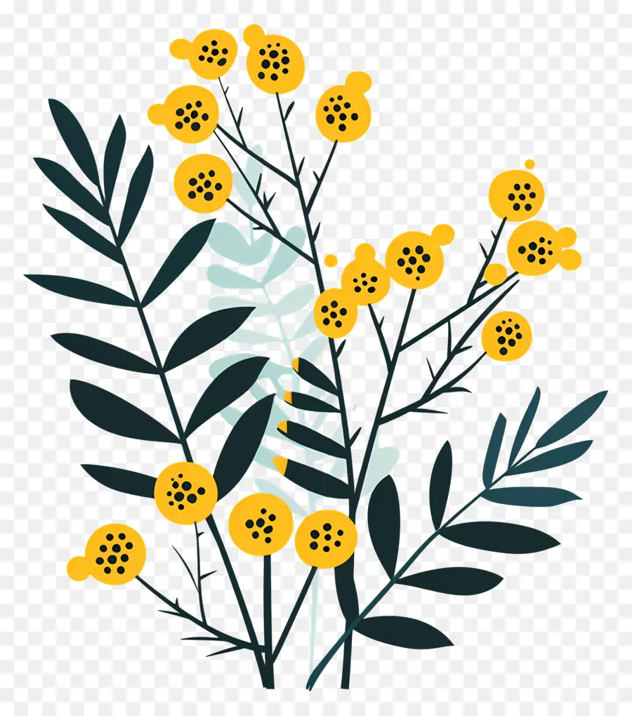 Mimosa Flowers，Bouquet Of Flowers PNG