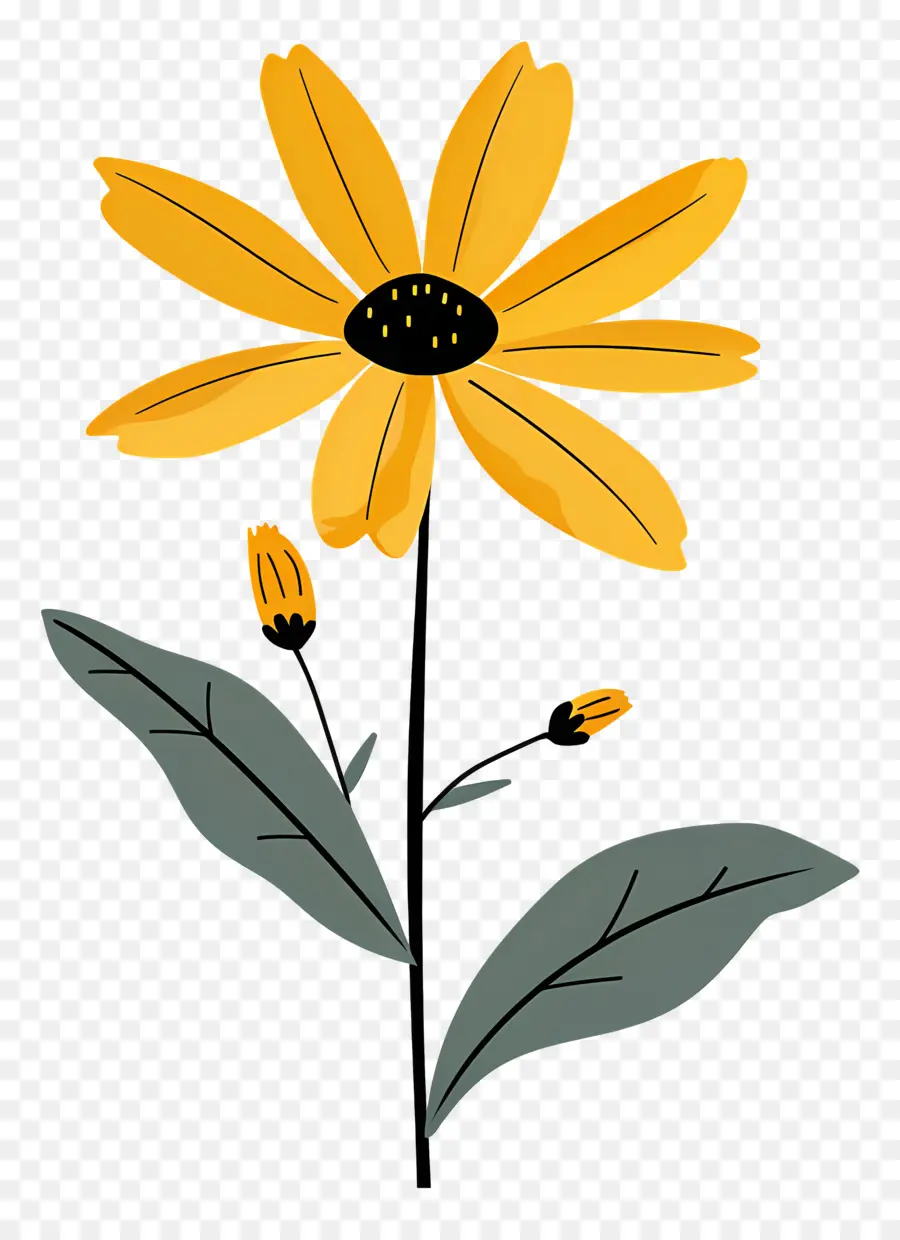 Amarillo De La Margarita，Flor Amarilla PNG