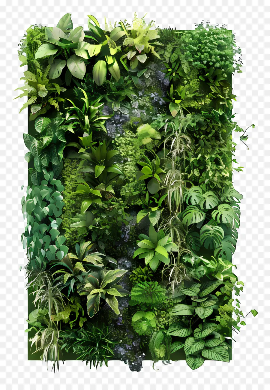 Jardín Vertical，Pared Verde PNG